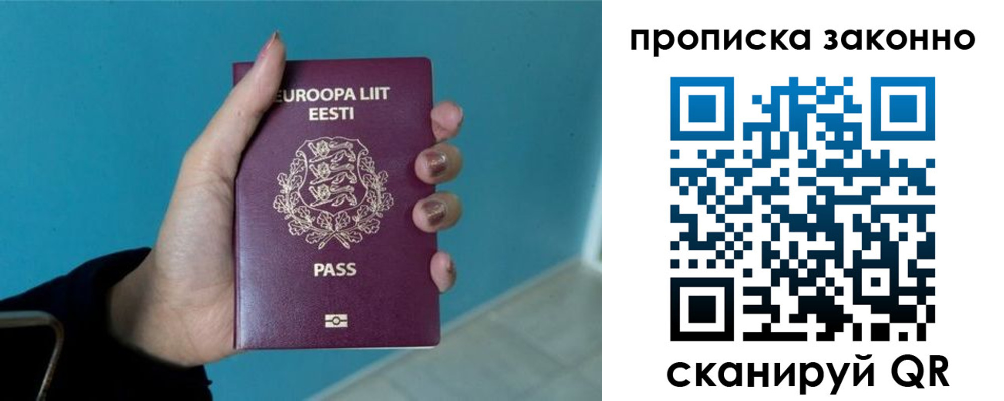 прописка гарантия в Кольчугино